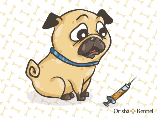 La mia prima Visita dal Veterinario e il Vaccino